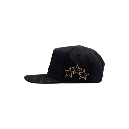 AMIRI ROSE GOLD PLACA